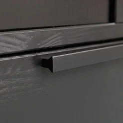 Discount WOOOD Adam 2-deurs kast grenen Zwart