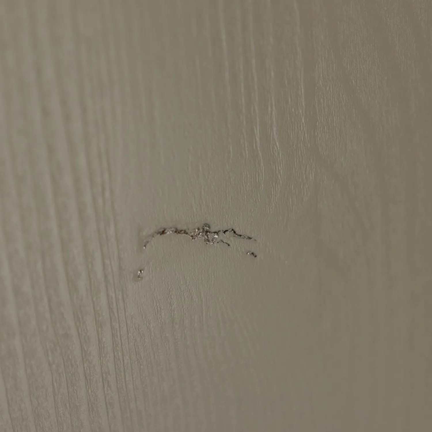 Best WOOOD Bobby opbergkist grenen forest