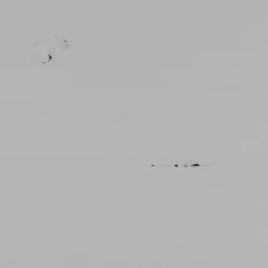 Sale WOOOD Cadiz opbergkast grenen Mist