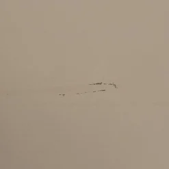 New WOOOD Chow 4-deurs vitrinekast grenen dakargrau