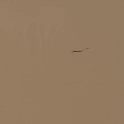 Best WOOOD Jet boekenstandaard grenen mud