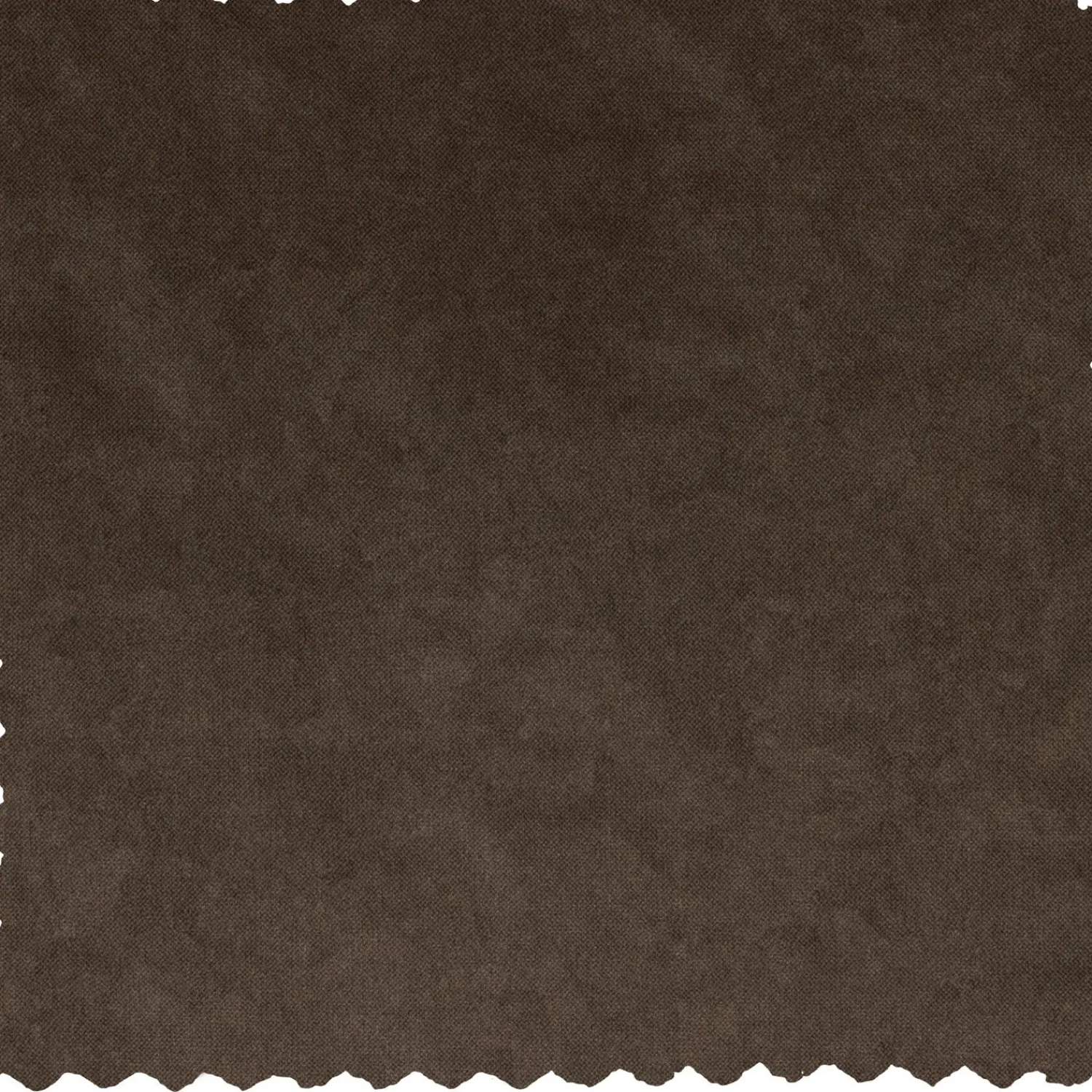 Hot WOOOD Statement 1-zits element velvet Taupe